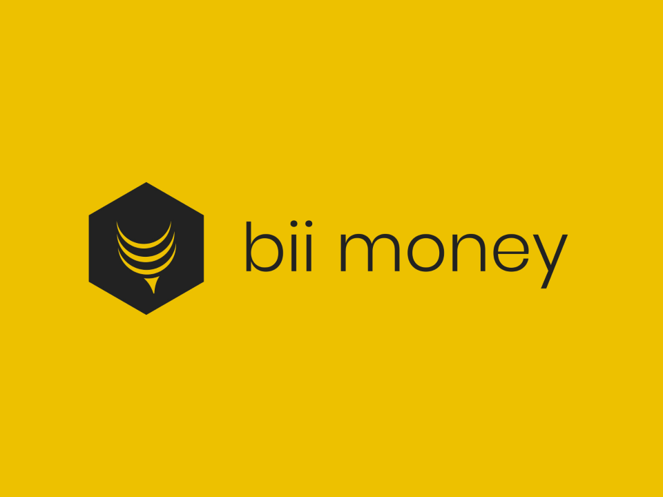 Logo bii money